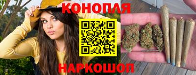 тгк Тула