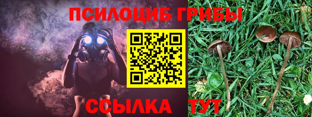 Псилоцибиновые грибы GOLDEN TEACHER Новочебоксарск